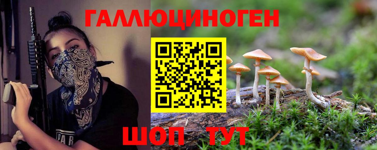 Дедовск  Псилоцибиновые грибы ЛСД  Вход с VPN 